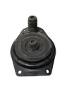 Coil spring/strut mount