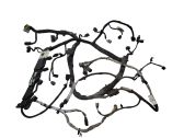 Engine installation wiring loom