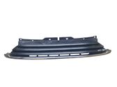 Front bumper upper radiator grill