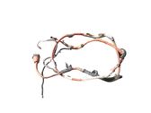 Other wiring loom