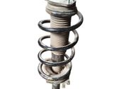 Front shock absorber with coil spring
