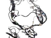 Other wiring loom