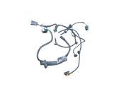 Front door wiring loom