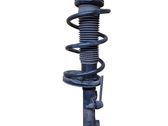 Front shock absorber with coil spring