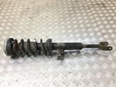 Front shock absorber with coil spring