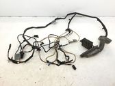 Front door wiring loom