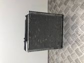 Air conditioning (A/C) radiator (interior)