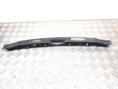 Trunk door license plate light bar