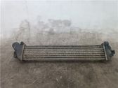 Intercooler radiator