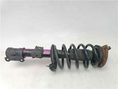Front shock absorber/damper