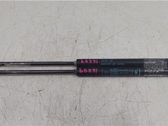 Tailgate/trunk/boot lid buffer