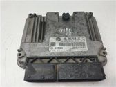 Engine control unit/module ECU
