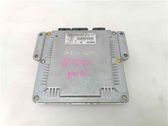 Engine control unit/module ECU