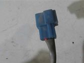 Fensterheber elektrisch mit Motor Tür hinten
