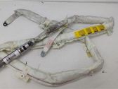 Airbag de la puerta delantera