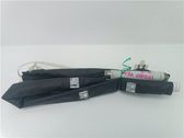 Türairbag vorne