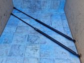 Front bonnet/hood damper/strut