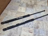 Tailgate/trunk strut/damper