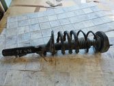 Rear shock absorber with coil spring