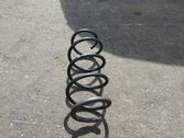 Rear coil spring