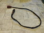 Sonde lambda