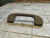 Front interior roof grab handle