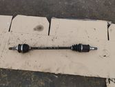 Rear driveshaft