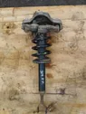 Front shock absorber with coil spring