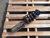 Front shock absorber with coil spring