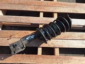 Front shock absorber with coil spring