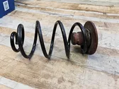 Rear coil spring