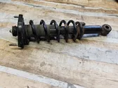 Rear shock absorber with coil spring