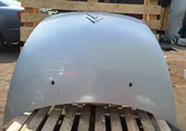 Engine bonnet/hood