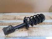 Front shock absorber with coil spring