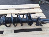 Front shock absorber with coil spring