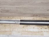 Tailgate/trunk strut/damper