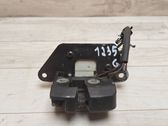 Tailgate/trunk/boot lock/catch/latch