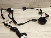 Rear door wiring loom