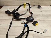 Rear door wiring loom