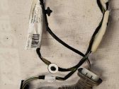 Rear door wiring loom