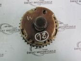 Riemenscheibe Nockenwelle Nockenwellenrad VANOS