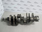 Vilebrequin du moteur