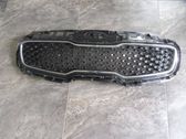 Front bumper upper radiator grill