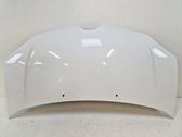 Engine bonnet/hood