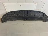 Front bumper skid plate/under tray