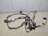 Other wiring loom