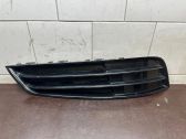 Front bumper lower grill
