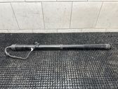 Tailgate/trunk strut/damper