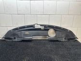 Radiator trim