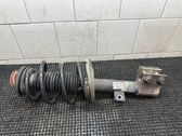 Front shock absorber with coil spring